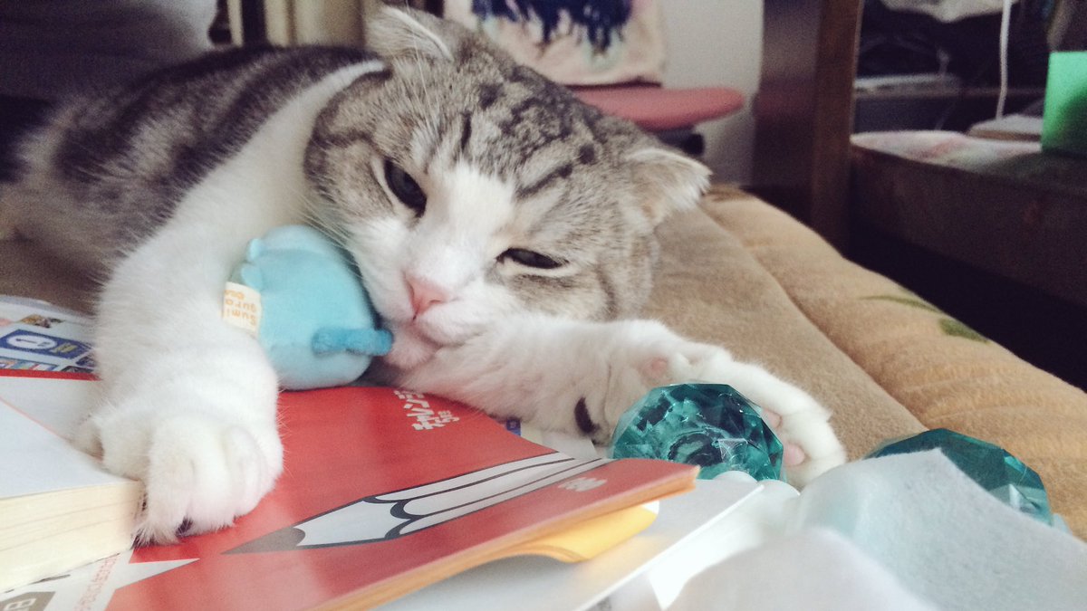 Juno_pic's tweet photo. とけてる https://t.co/aTVVnyxlU7