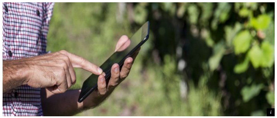 9️⃣ : Quand la #technologie se met au service du #vin 💻💪 - <a href="/le_Parisien/">Le Parisien</a> <a href="/lesgrappes/">Les Grappes</a> #startup

➡️ bit.ly/2ln68Wj
#WineMorning 🍷⚡️