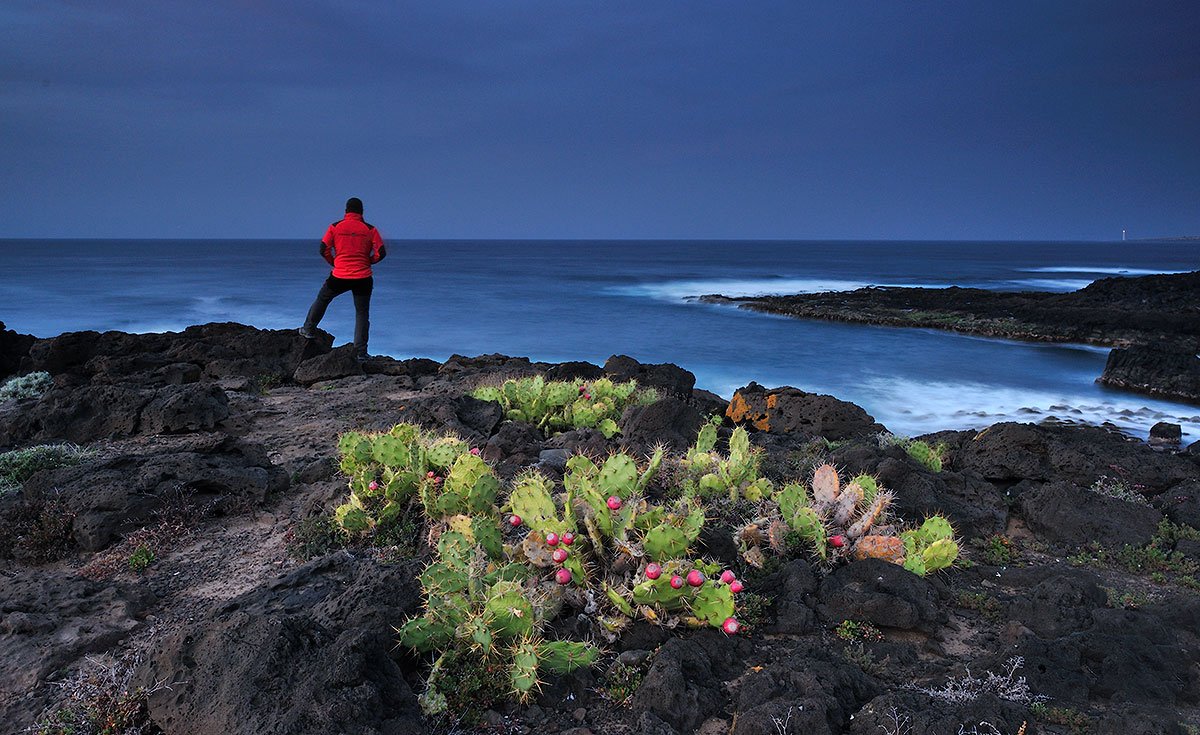 El boletín de <a href="/AFOCER/">AFOCER</a> habla en su último número de un tal Mario Rubio que sale por la noche… ¿Quién será? afocer.cat/wp-content/upl…