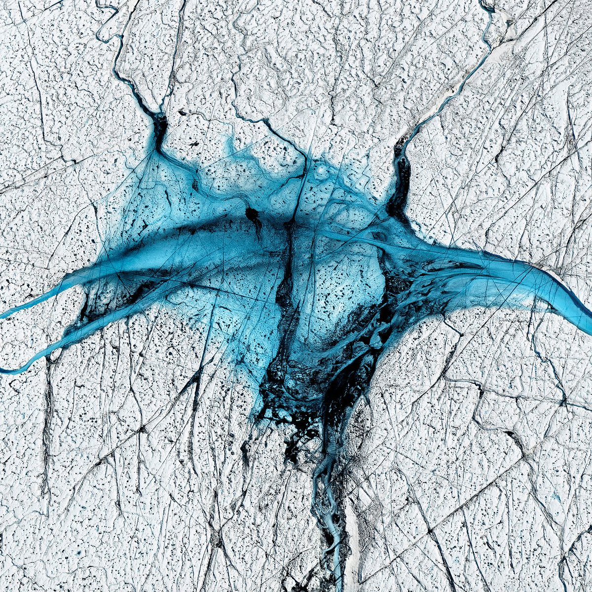 meldcc's tweet photo. "What should be pristine white is littered with blue’ #TimoLieber #Thaw2017 #art #climatechange #ice #actonclimate #climateaction https://t.co/u4PvfYDueh