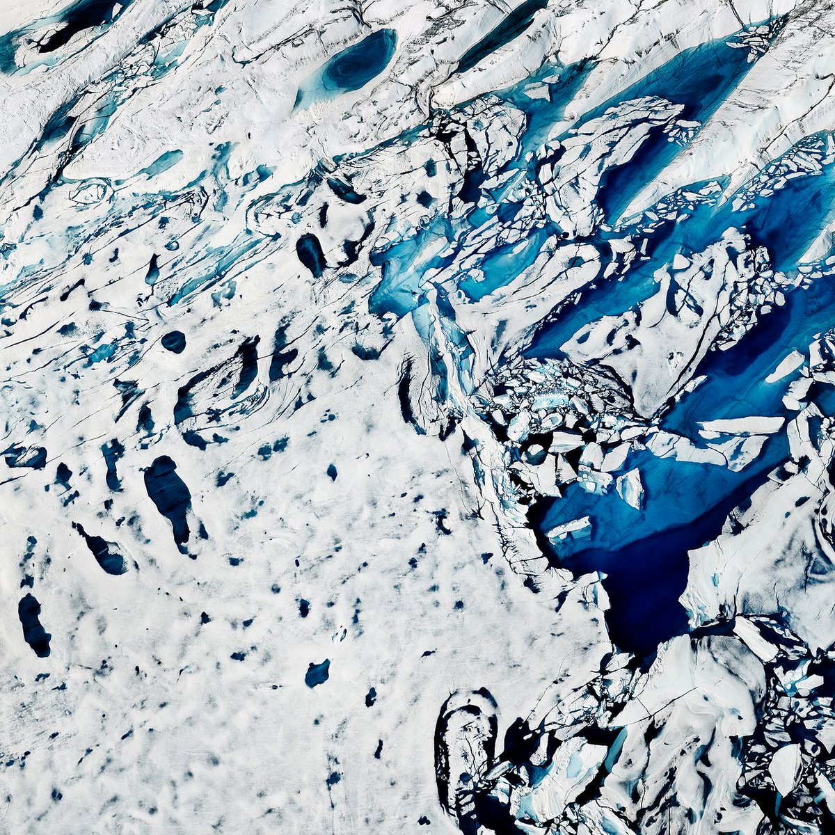 meldcc's tweet photo. "What should be pristine white is littered with blue’ #TimoLieber #Thaw2017 #art #climatechange #ice #actonclimate #climateaction https://t.co/wgrzM9REAn