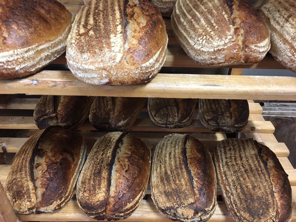 scarpedillo's tweet photo. 100% #Organic Sours heading to @RoCobrewbar @johnnyheaney28  #realbread @RealBreadIRL https://t.co/5r2oHGjjbf