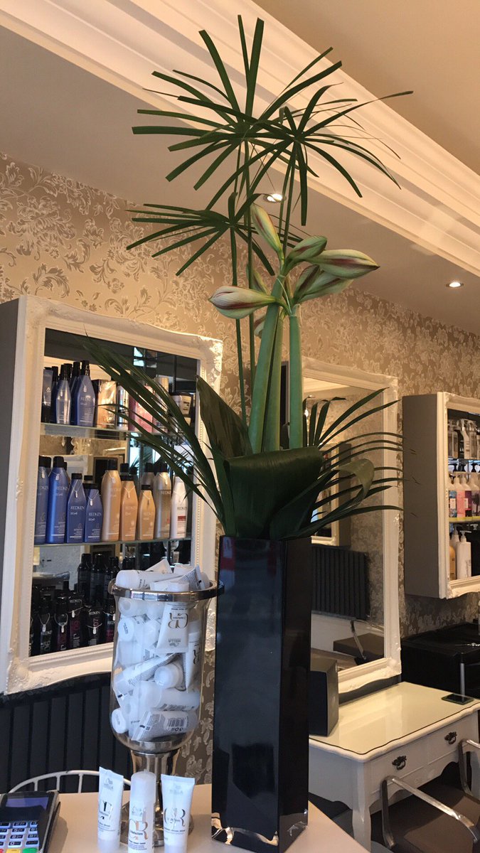 SLHairSalon's tweet photo. 🥀 https://t.co/QTu0z237dd