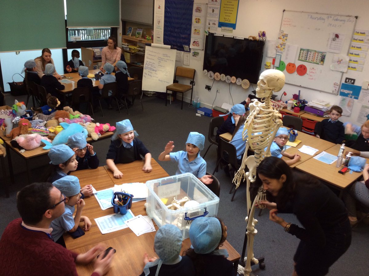 Mount Street Primary (@mountst_primary) on Twitter photo Year 2 <a href="/MountSt_Primary/">Mount Street Primary</a> learning about the body withthe Teddy Bear hospital Plymouth University students #ourbody #teddybearhospital Year 2 <a href="/MountSt_Primary/">Mount Street Primary</a> learning about the body withthe Teddy Bear hospital Plymouth University students #ourbody #teddybearhospital