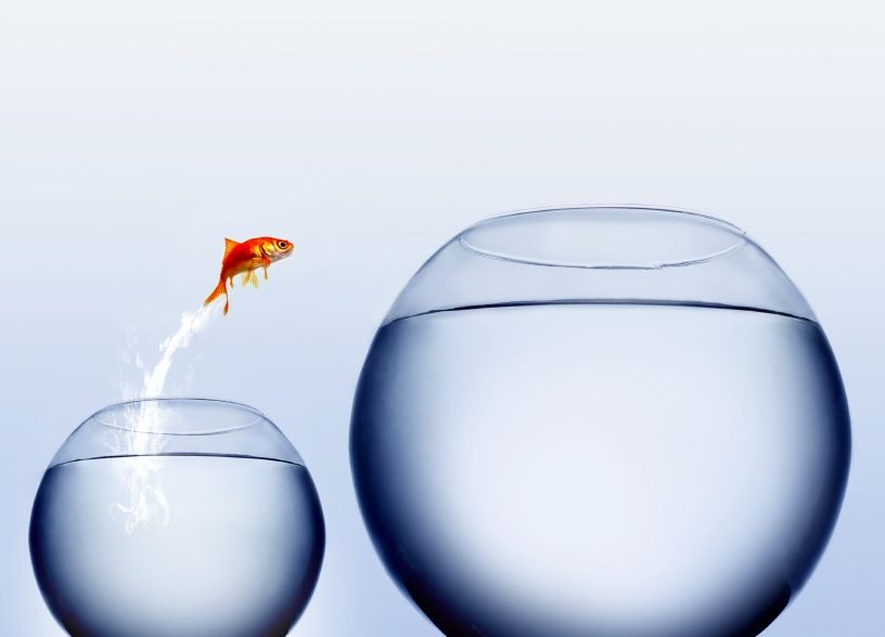 querease's tweet photo. Change is hard, very hard and that’s why we are here 24/7 for you. #psychological counselling
https://t.co/mU21CNujv7 https://t.co/G8MbZ3TEr0