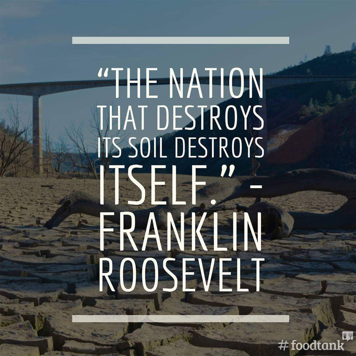 foodtank's tweet photo. "The nation that destroys its soil, destroys itself." -Franklin Roosevelt  #FoodTank https://t.co/px3iWCAvzD
