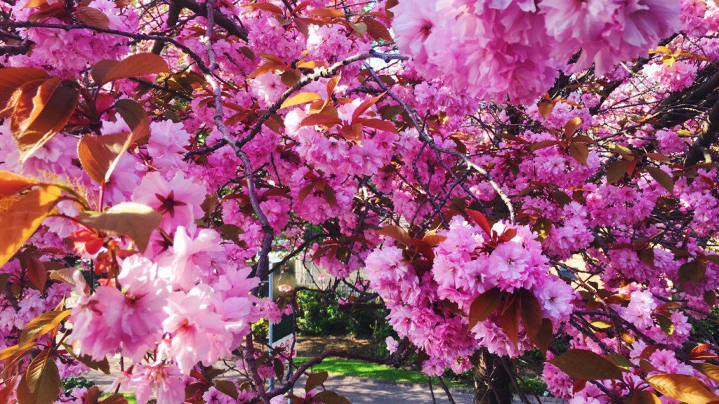 emilyrobxrts's tweet photo. NEW BLOG POST: Why I'm excited for spring #nebloggers #bbloggers blogruary day 9 https://t.co/aPunV61QHF https://t.co/sO3YzmRFvO