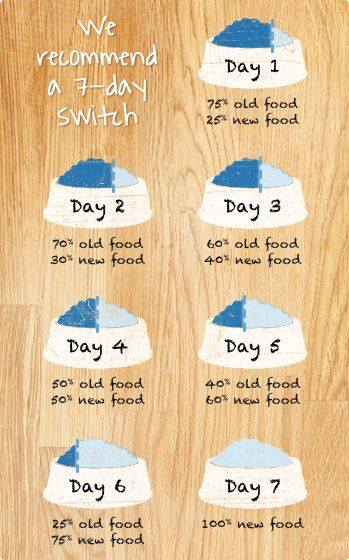 VictoriaVets_'s tweet photo. When changing #pets food because of diet or age make the swap gradually to avoid upset stomachs! @GoodVetGuide @TheGoodDogGuide @BestForCats https://t.co/lN5Bka1H7A