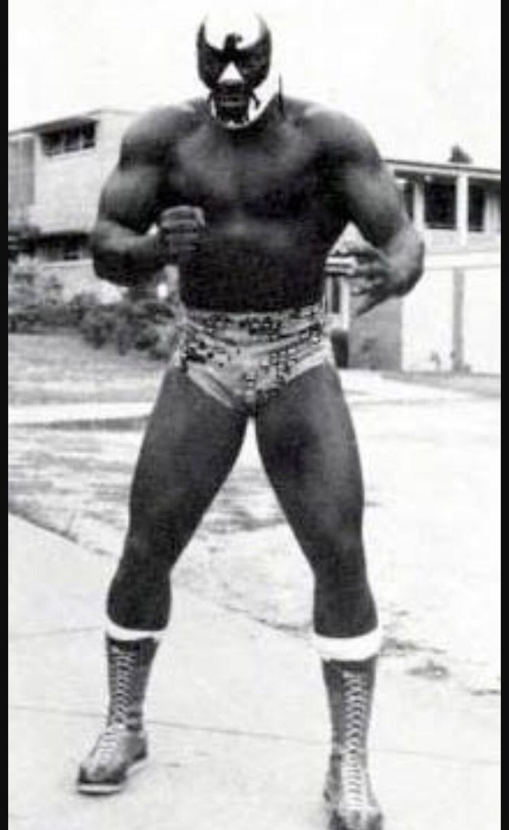 wrestlerweekly's tweet photo. In honor of Black History Month WRESTLER WEEKLY honors a wrestler a day throughout February! Day 9 is #SKIPYOUNG #SweetBrownSugar #NWA #MACW https://t.co/brG5Z9G3Om