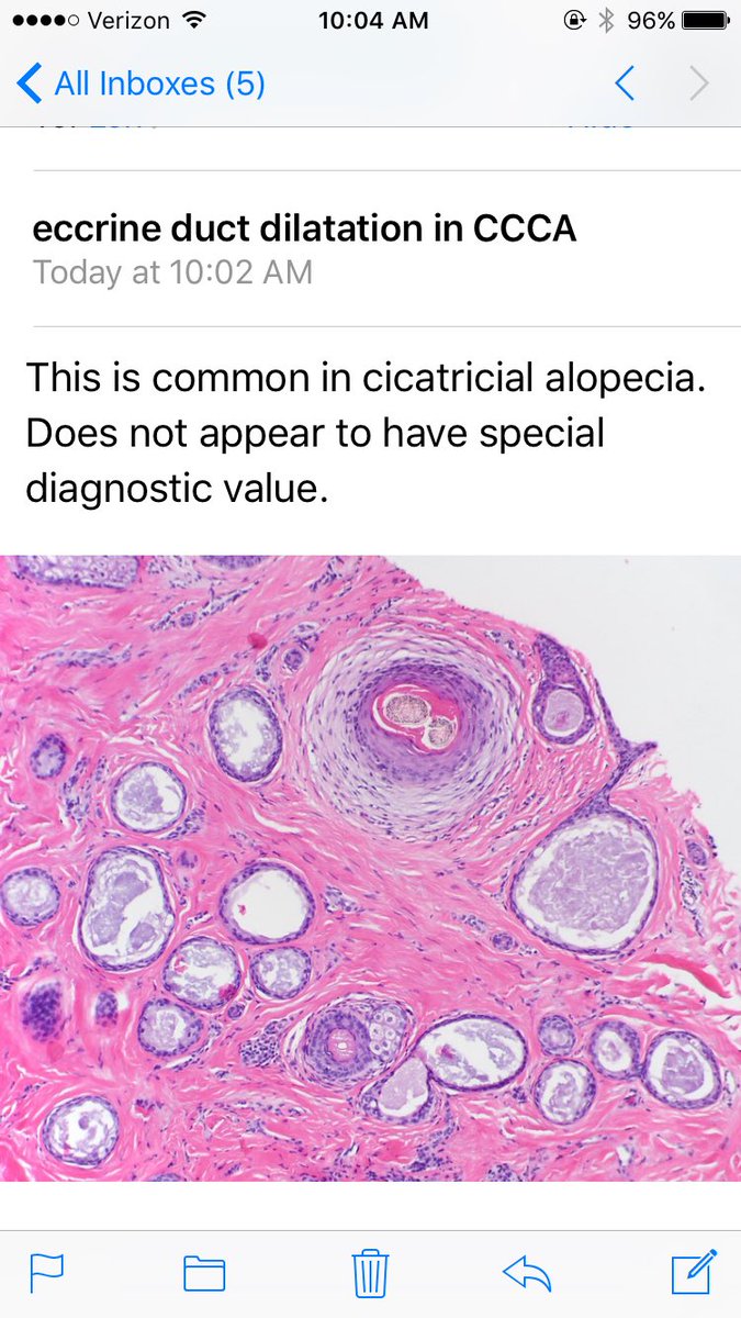 LenSperling's tweet image. 