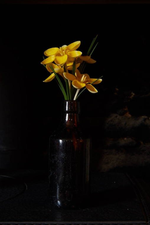 ArneMaynard's tweet photo. Incredible photos from @BrittWillDyer for this week’s Garden Diary from #Alltybela with @stevelannin https://t.co/qU8D7amhvQ #springiscoming https://t.co/OD2vlz6gnH