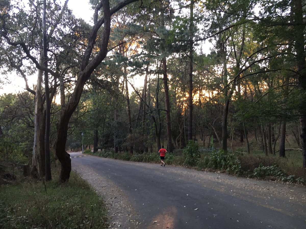 luisfergalan's tweet photo. Morning Run 🏃🏻🌲 https://t.co/J6ErMCT8m5