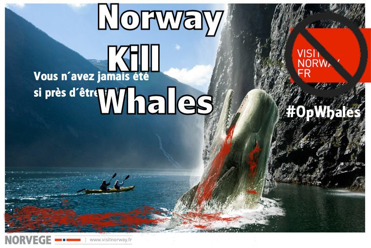 h0t_p0ppy's tweet photo. #omstilt2017 #Norwegian people need to be motivated by facts
Save the whales
Save Humanity
The Shame of #Norway whaling #OpWhales https://t.co/HLGtMqXF3l