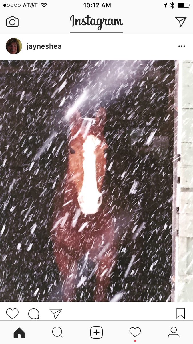 shea_jayne's tweet photo. Embrace the wonder❄ https://t.co/FU7JFQN0l5