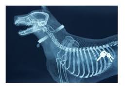 TudorLock's tweet image. I found my keys.  I might still need to call a locksmith! #locksmith