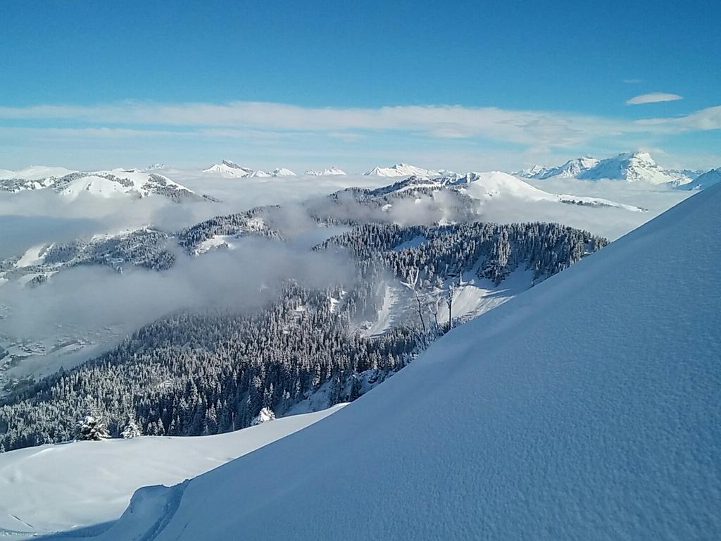 Absolute_Alps's tweet image. After the storm #chatel