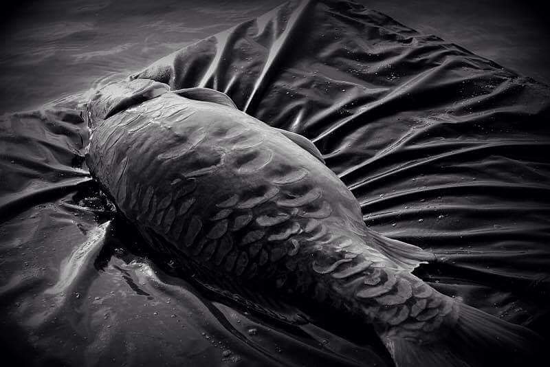 urban_bait's tweet photo. Get On The Going Bait - Get On The Nutcracker #urbanbait https://t.co/AHcnBrJWok