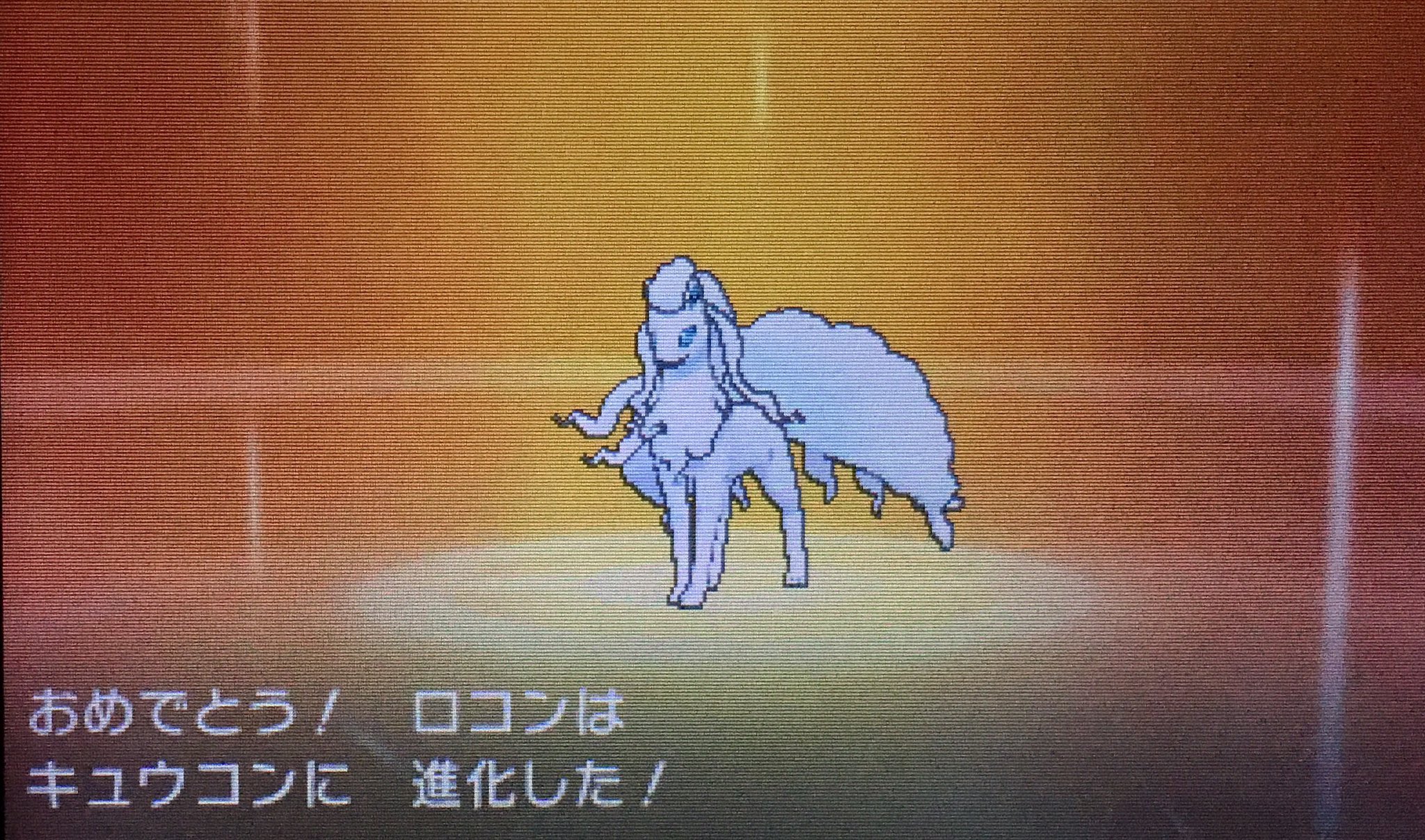 姫野桃 桃色のポケgoマイボウラー よぉやくアローラキュウコン育成完了ですの Nnの由来ゎ東方キャラの藍しゃま 八雲藍 とチルノちゃんを足してみましたわ ポケモン サンムーン アローラ