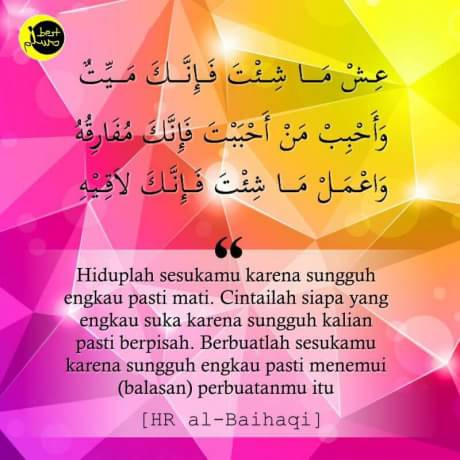 Rohis One tweet media