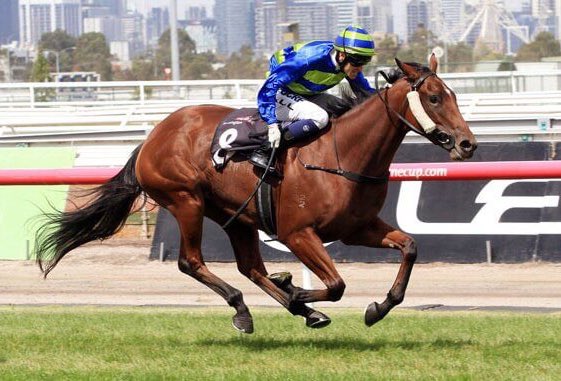 GBRI_UK's tweet photo. Australian star mare Jameka has Royal Ascot and King George plans this summer: https://t.co/2gkFRuiT5b
📸: @Ascot https://t.co/35LJYrACLg