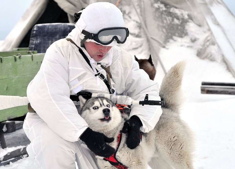 ALLarctica tweet picture