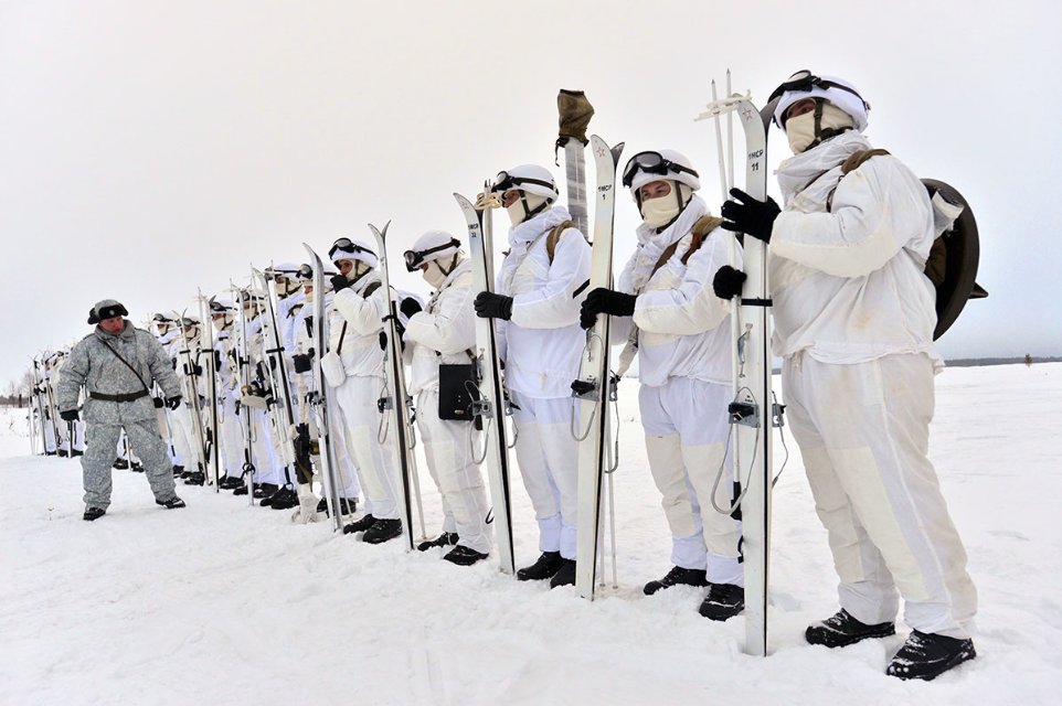 ALLarctica tweet picture