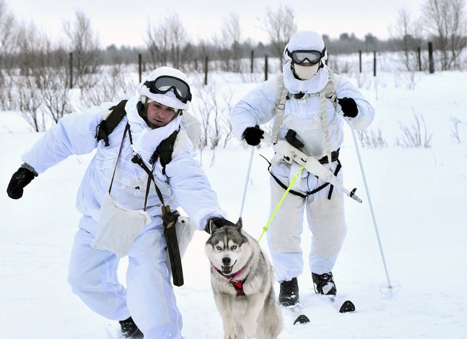 ALLarctica tweet picture