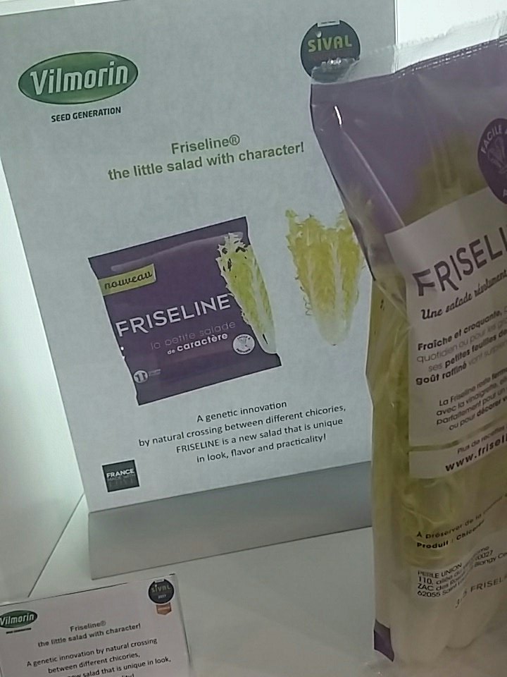 VEGEPOLYSVALLEY's tweet photo. 15 nouveautés francaises à voir #FruitLogistica hall 22 F9-10: @VilmorinSA #crealine #princedebretagne #jardins du midi #dalival etc... https://t.co/TjIkCUgXhv