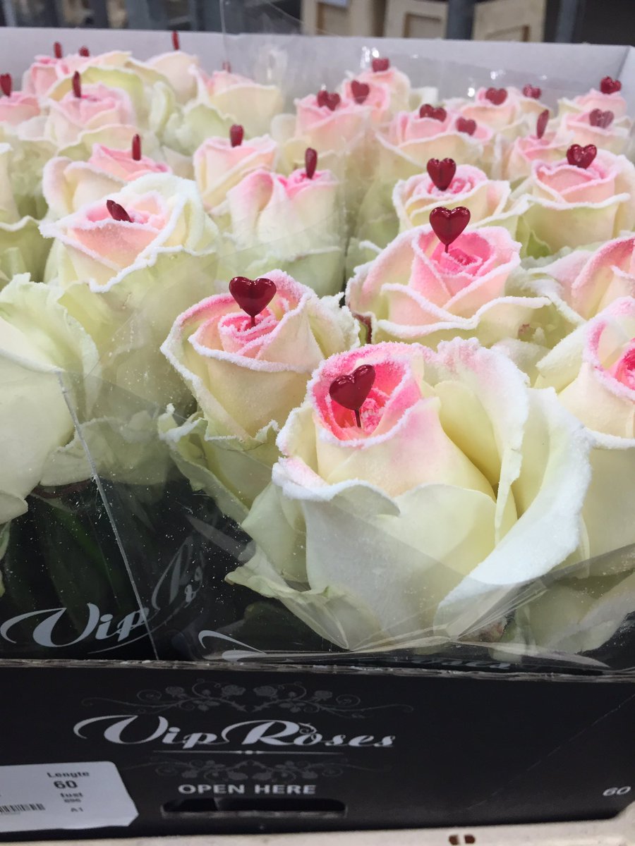 TC_Meijers's tweet photo. Supermooi assortiment waxrozen van kweker @viproses ingekocht. #valentijn https://t.co/Y3e7SeRSFD