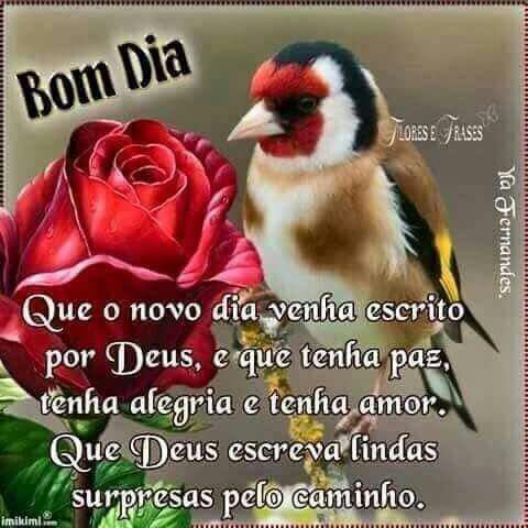 @luanas22345 
<a href="/jjsantos90/">Josué Santos</a>
<a href="/juniinho44/">Junior Ribeiro</a>
<a href="/juniorljsj/">Jr Souza #Timbeta</a>
<a href="/PreetaKiinha/">KiinhaC°• BetaLab</a> 
<a href="/lsdaltro/">Laís Daltro</a>
<a href="/Lehgomesoliver/">Leticia #TIMBETA#SDV</a>
<a href="/luanatereza9/">Luana@tim.beta</a>
<a href="/Beta_OficialSdv/">Beta_OficialSdv</a>
#Beta_OficialSdv