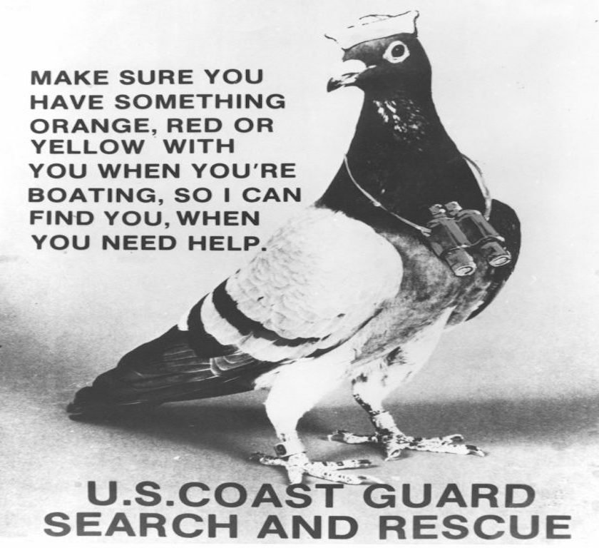 Coast Guard Pigeons would find you when lost at sea. Learn the rich history of pigeons. For families. Get tix here: tinyurl.com/h33awvn