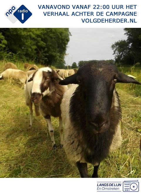 Vanavond het verhaal achter de campagne volgdeherder.nl in #LangsdelijnEO op #NPOradio1 Tune in vanaf 22.00 uur.