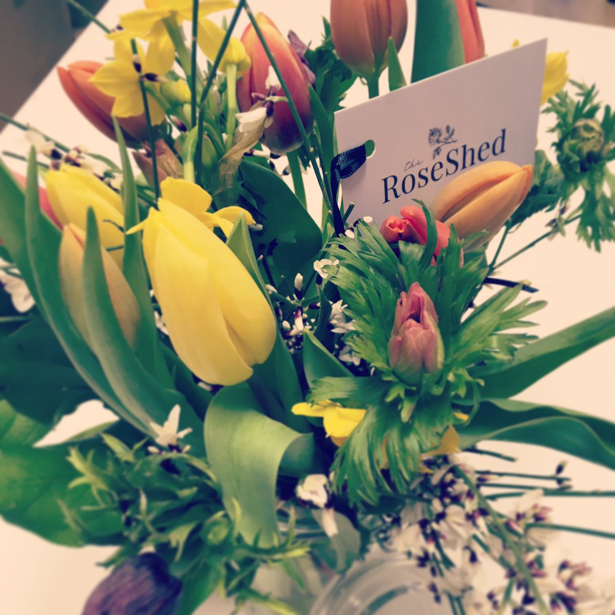 James Ellis (@jameselliscom) on Twitter photo Thanks so much to <a href="/TheRoseShed/">Rachel Husband</a> for dropping round these beautiful flowers. So many lovely businesses in <a href="/paintworks_/">Paintworks</a> #bristol Thanks so much to <a href="/TheRoseShed/">Rachel Husband</a> for dropping round these beautiful flowers. So many lovely businesses in <a href="/paintworks_/">Paintworks</a> #bristol