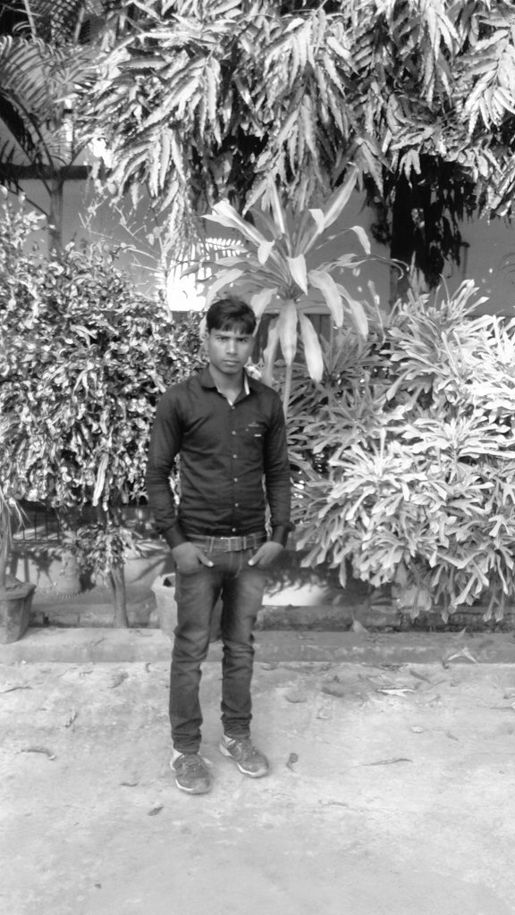 yadavamit75's tweet image. 