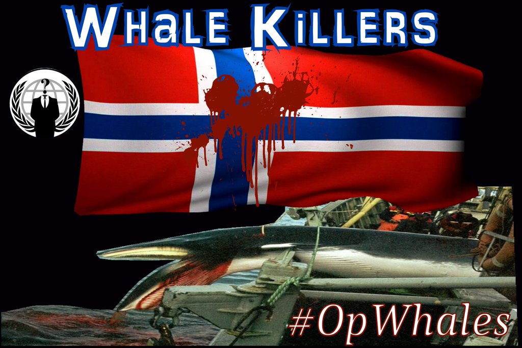 h0t_p0ppy's tweet photo. #omstilt2017 999 whales sentenced to death in 2017 #Norway should be ashamed #OpWhales https://t.co/VjHTHjSSd4