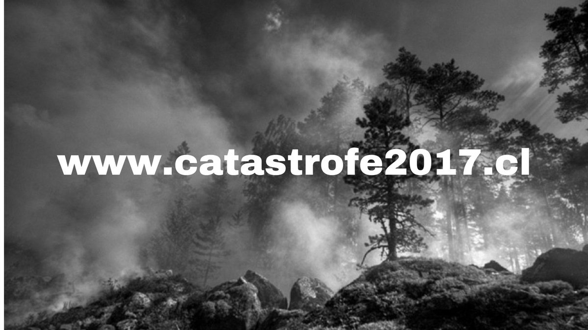 nicolaslarrain's tweet photo. Aporta con tu ayuda a los damnificados los incendios forestales de Chile #Chileneedshelp #chilewildfires https://t.co/ILn54xr108 https://t.co/ncfBtFp3av