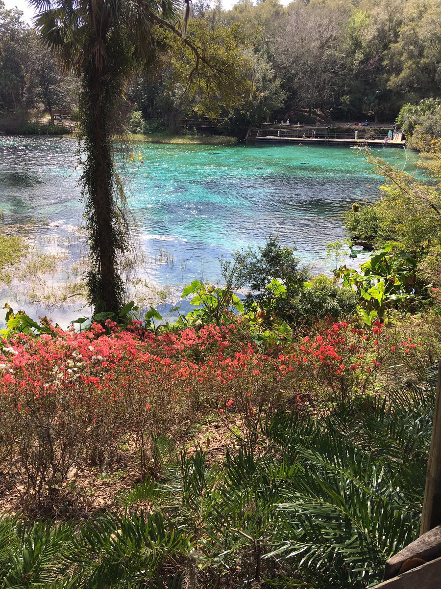 BarcalRin's tweet photo. Home from Rainbow Springs. Beautiful #beathtaking https://t.co/sctBBQcgrY