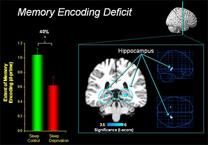 CodingGirlsOrg's tweet image. Good #STEM news from @UCBerkeley for any day of the week: #Naps promote better learning ow.ly/bY99308Q51o
