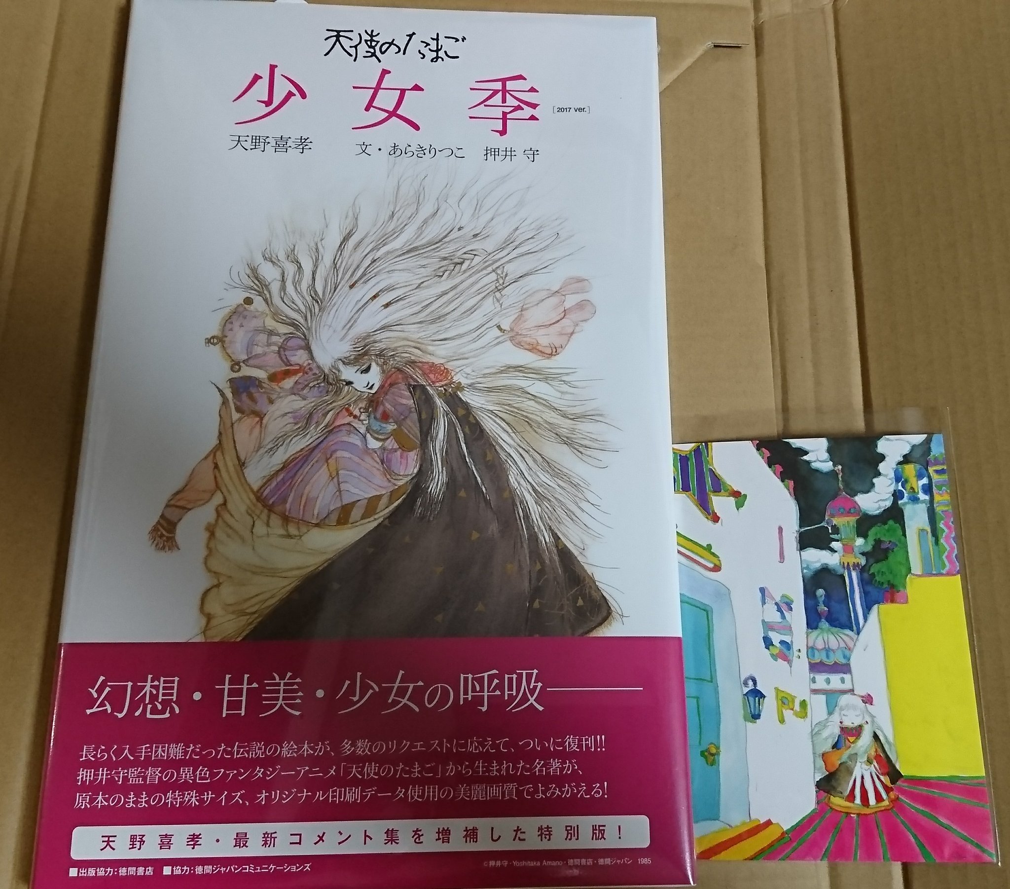 天使のたまご 押井守 ポスター 映画 アニメ アニメグッズ | yucca.com.mx