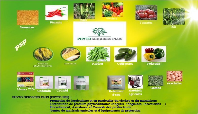 PHYTOPSP's tweet image. 