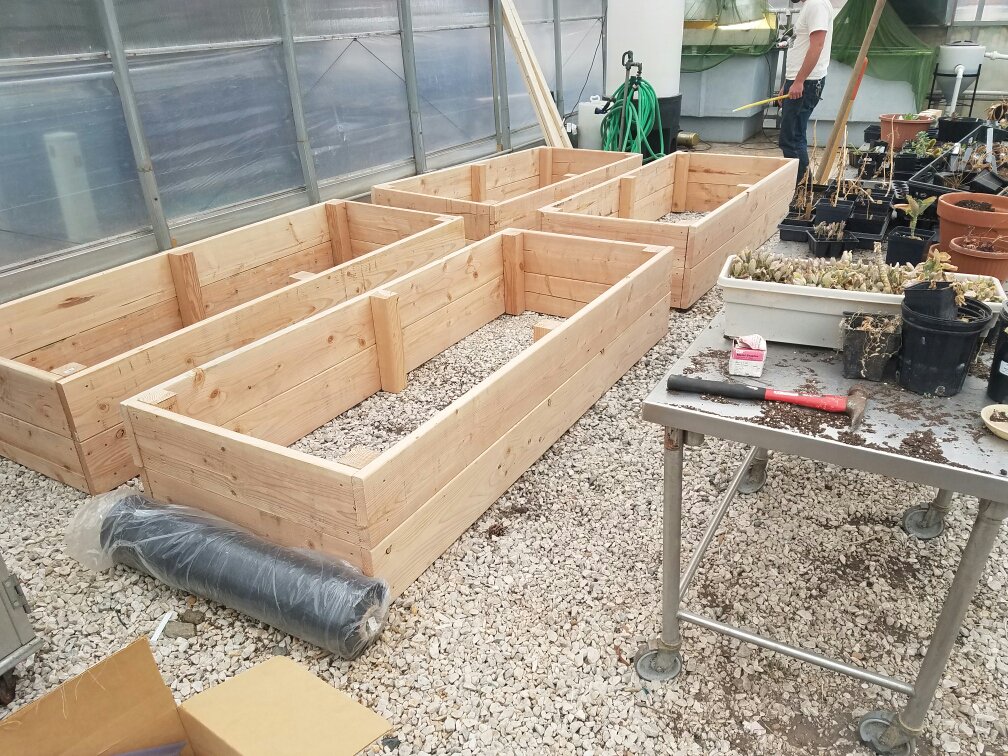 New expansion to the greenhouse. Excited for the unique ingredients on our menu for upcoming season,harvested by BUGS program. #supportBUGS