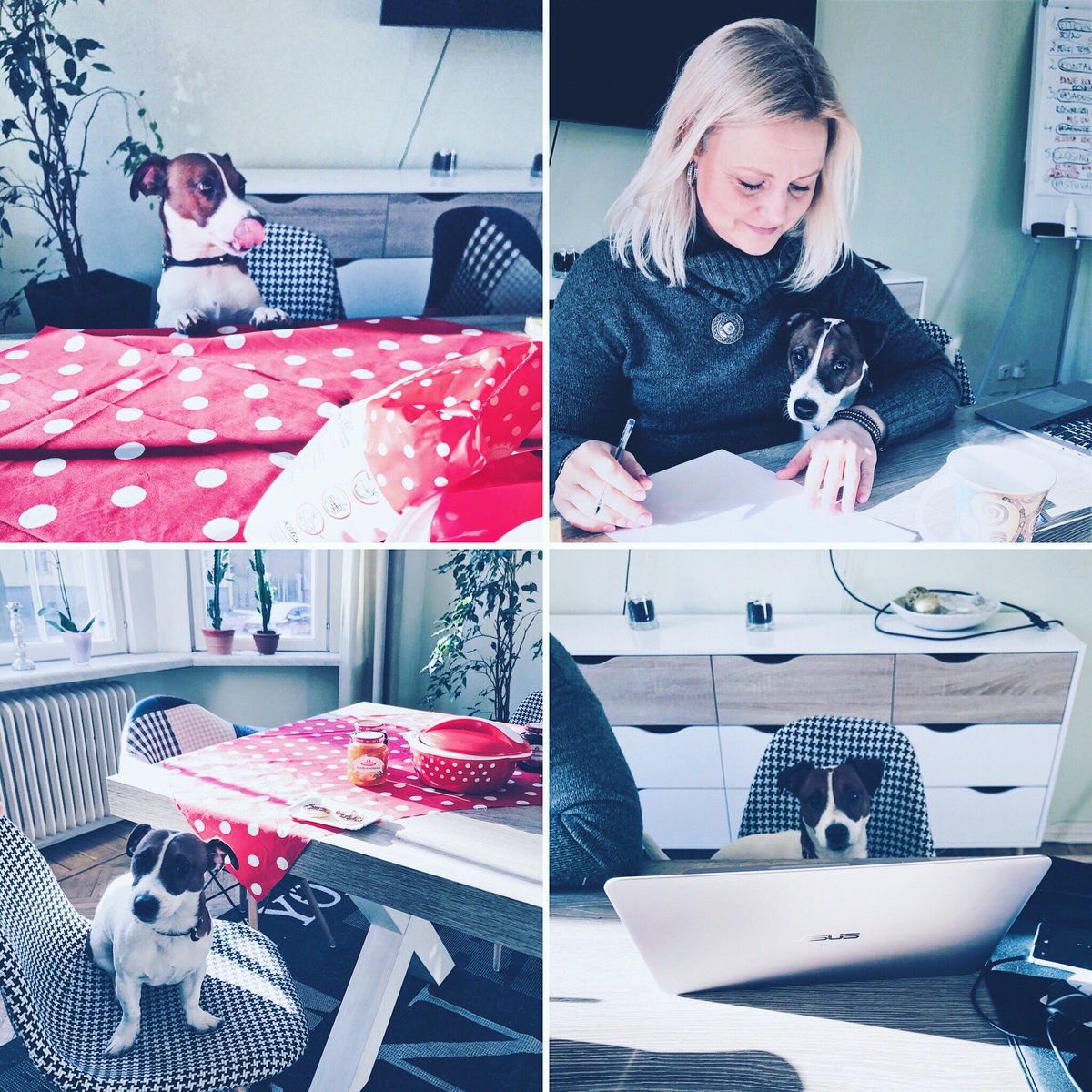 We had a guest named Hugo to help us with campaign planning and 100 pancakes that needed to be eaten 🐶🥞
#Partizanas #petfriendly #office