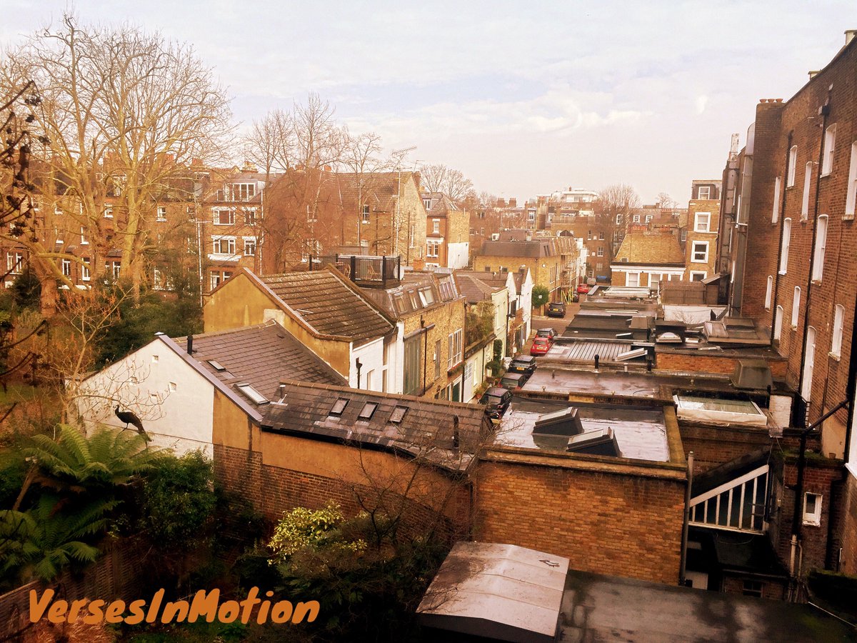 LauraLME's tweet photo. #view #london🇬🇧 #belsizepark #muse
#versesinmotion #photography #LoveLondon #lovelondonlife #lovethiscity https://t.co/qzCPgU995Z