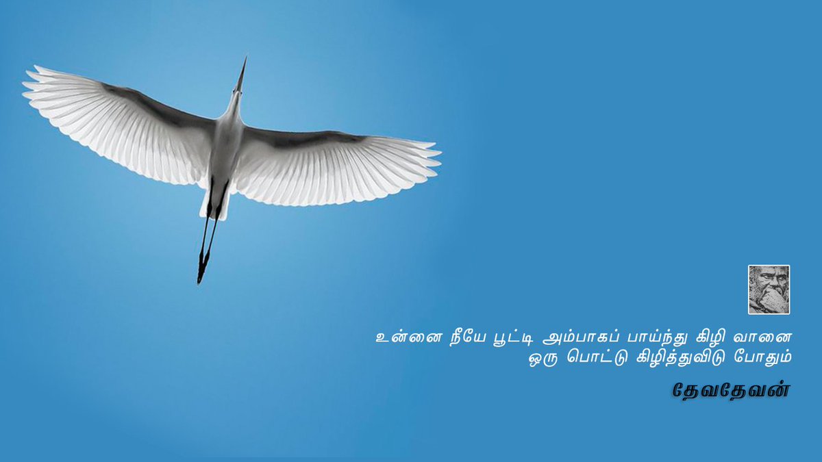 sanja_srini's tweet photo. #DevadevanForDesktops #தேவதேவன் #Devadevan https://t.co/zbwAZL4EGd