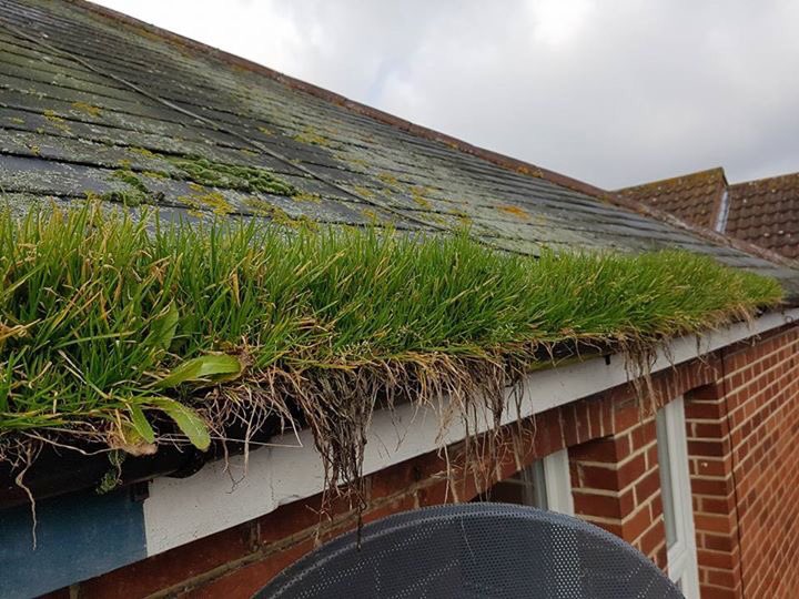 LeeBurbidge's tweet image. Mark Meldrum of MKM Specialist Cleaning Services pulled this monster out on a gutter clear out