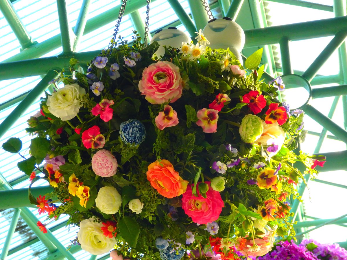 きれいに撮れた（＾ω＾）
↑
自己満。