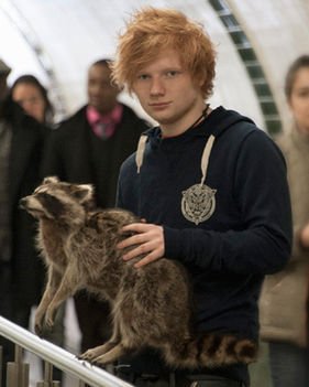 psalmesp's tweet photo. Ed Sheeran holding animals appreciation tweet #BestFan2017 #EdBestFans https://t.co/DSqJznL80l