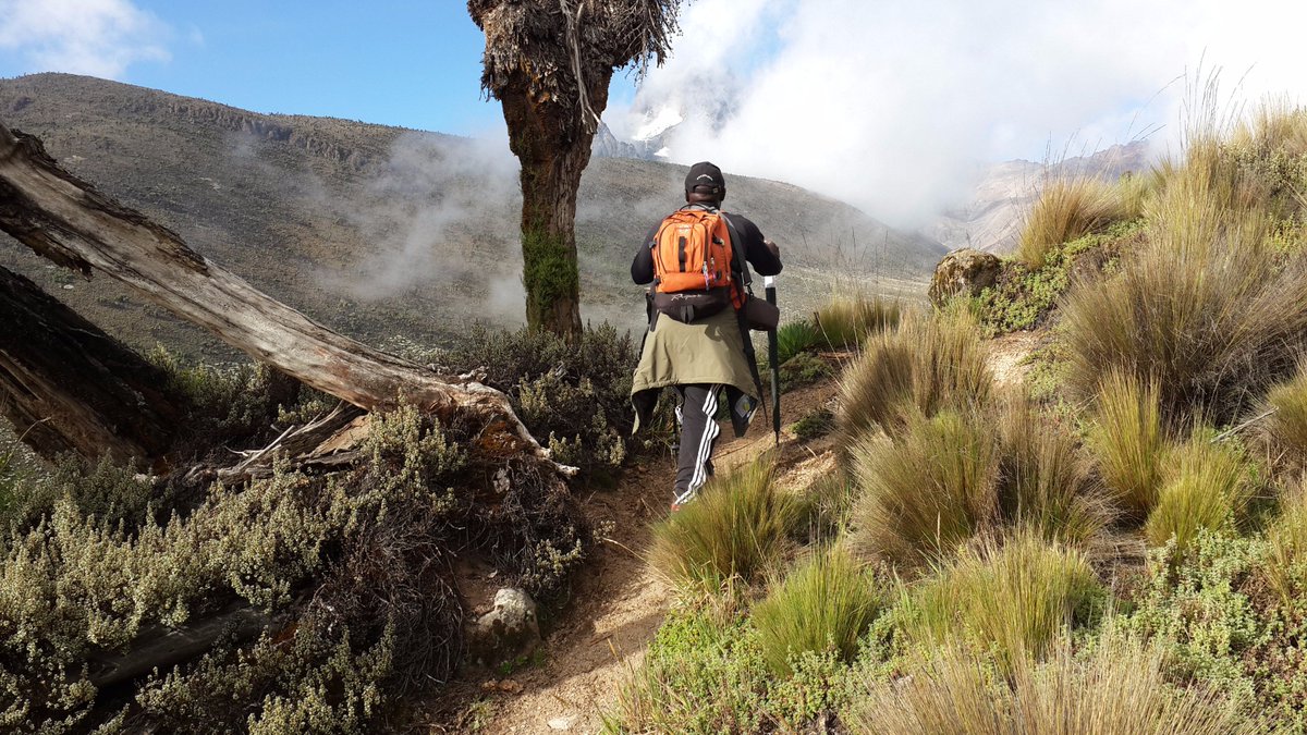 KWSKenya's tweet photo. “In every walk with Nature one receives far more than he seeks.”John Muir #DiscoverKWSParks https://t.co/65mgdGV6kf