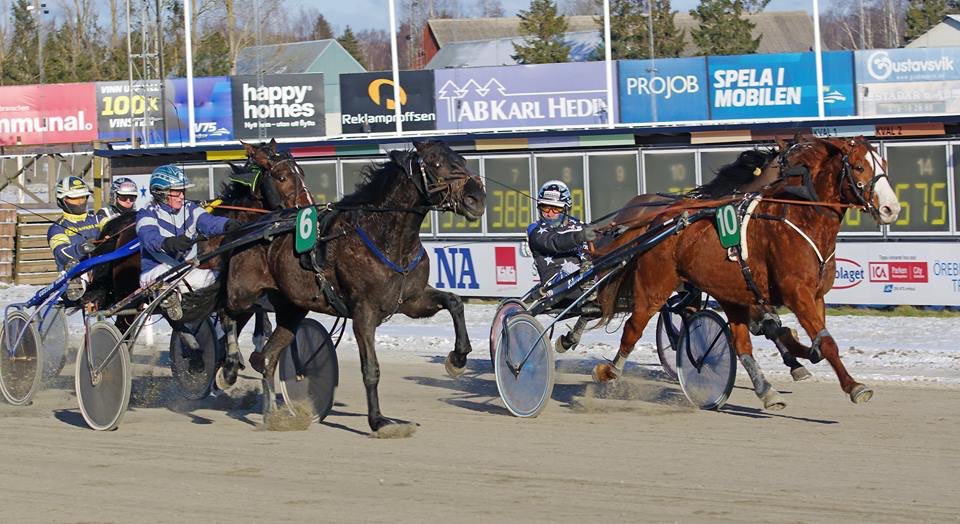 Best Beji vilken fighter