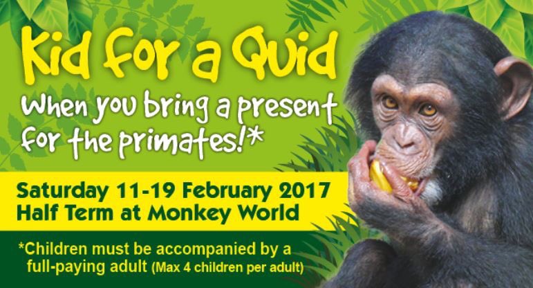 Half term fun! #Bournemouth #dorset #halfterm